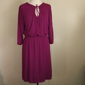 Gap magenta dress